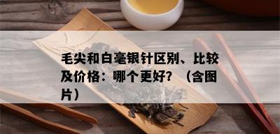 毛尖和白毫银针区别、比较及价格：哪个更好？（含图片）