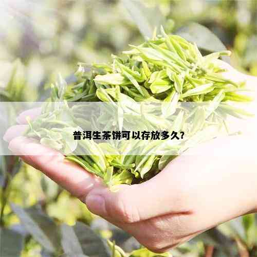 普洱生茶饼可以存放多久？