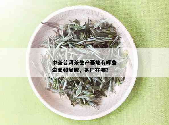 中茶普洱茶生产基地有哪些企业和品牌，茶厂在哪？