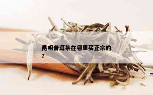 昆明普洱茶在哪里买正宗的？