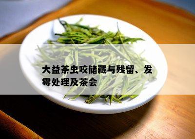 大益茶虫咬储藏与残留、发霉处理及茶会