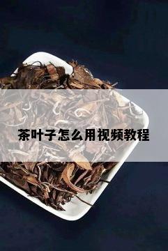 茶叶子怎么用视频教程