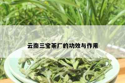 云南三宝茶厂的功效与作用