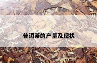 普洱茶的产量及现状