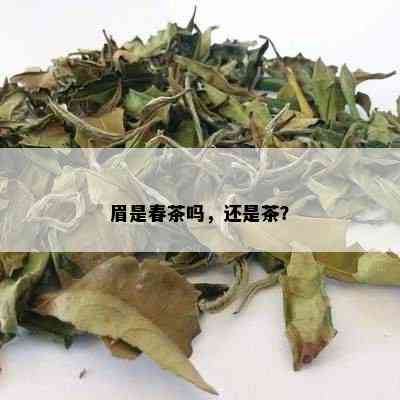 眉是春茶吗，还是茶？