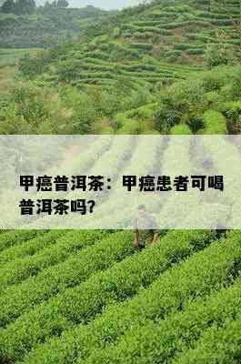 甲癌普洱茶：甲癌患者可喝普洱茶吗？