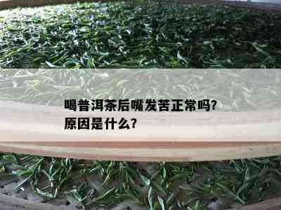 喝普洱茶后嘴发苦正常吗？原因是什么？