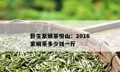 野生紫娟茶悦山：2016紫娟茶多少钱一斤