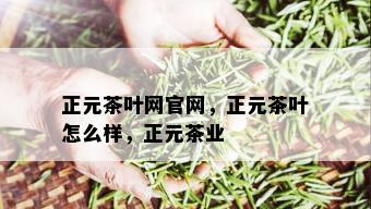 正元茶叶网官网，正元茶叶怎么样，正元茶业