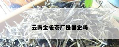 云南金雀茶厂是国企吗