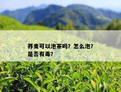 荞麦可以泡茶吗？怎么泡？是否有？