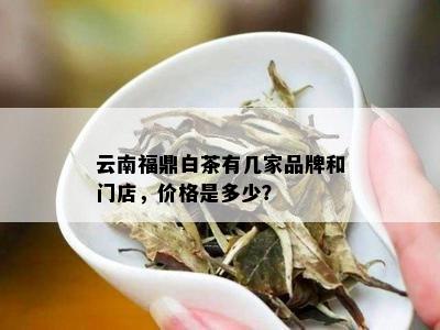 云南福鼎白茶有几家品牌和门店，价格是多少？