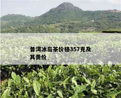 普洱冰岛茶价格357克及其贵价