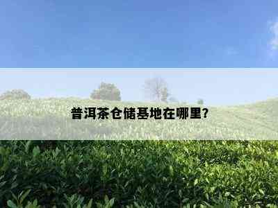 普洱茶仓储基地在哪里？