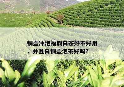 铜壶冲泡福鼎白茶好不好用，并且白铜壶泡茶好吗？