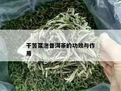 干苦菜泡普洱茶的功效与作用