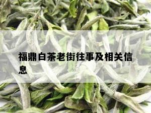 福鼎白茶老街往事及相关信息