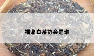 福鼎白茶协会是谁