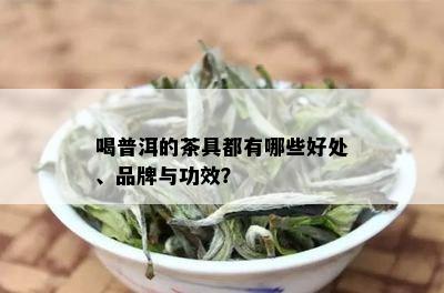 喝普洱的茶具都有哪些好处、品牌与功效？