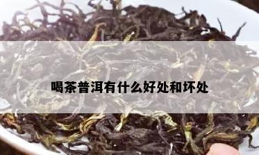 喝茶普洱有什么好处和坏处