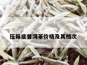 压箱底普洱茶价格及其档次