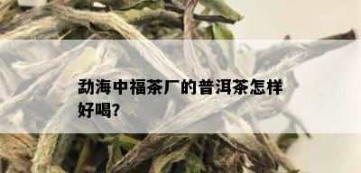 勐海中福茶厂的普洱茶怎样好喝？