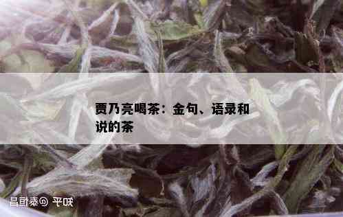 贾乃亮喝茶：金句、语录和说的茶