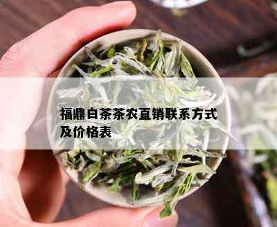 福鼎白茶茶农直销联系方式及价格表