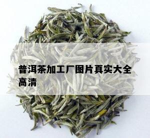 普洱茶加工厂图片真实大全高清