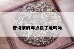 普洱茶的霉点没了能喝吗