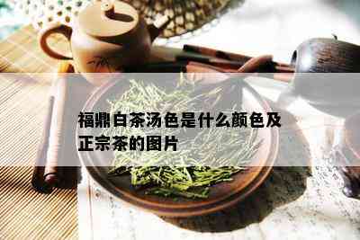 福鼎白茶汤色是什么颜色及正宗茶的图片