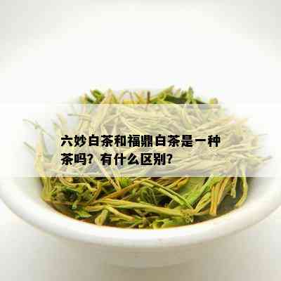 六妙白茶和福鼎白茶是一种茶吗？有什么区别？