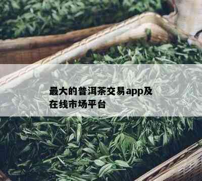 更大的普洱茶交易app及在线市场平台