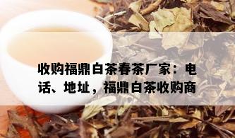 收购福鼎白茶春茶厂家：电话、地址，福鼎白茶收购商