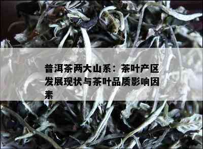 普洱茶两大山系：茶叶产区发展现状与茶叶品质影响因素