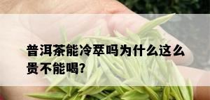 普洱茶能冷萃吗为什么这么贵不能喝？