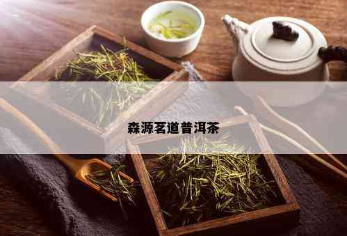 森源茗道普洱茶