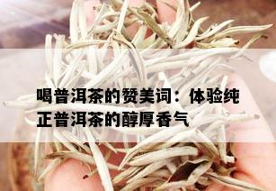 喝普洱茶的赞美词：体验纯正普洱茶的醇厚香气