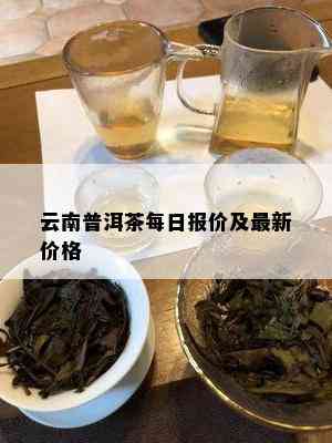 云南普洱茶每日报价及最新价格