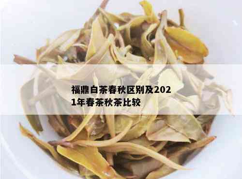 福鼎白茶春秋区别及2021年春茶秋茶比较