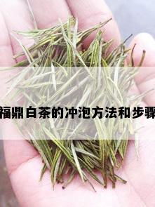 福鼎白茶的冲泡方法和步骤