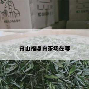 舟山福鼎白茶场在哪