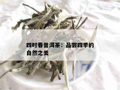 四时春普洱茶：品尝四季的自然之美