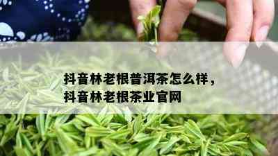 抖音林老根普洱茶怎么样，抖音林老根茶业官网