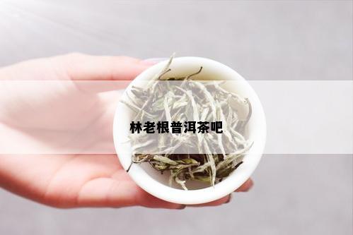 林老根普洱茶吧