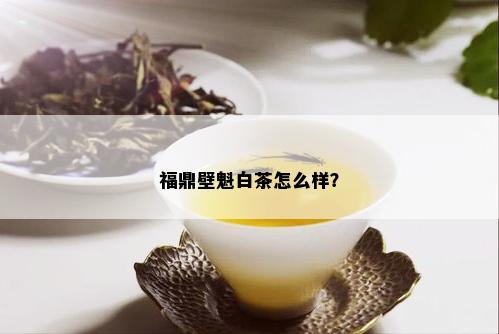 福鼎壁魁白茶怎么样？