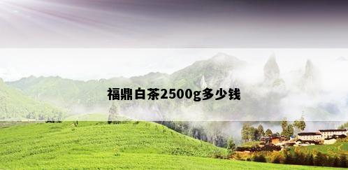 福鼎白茶2500g多少钱