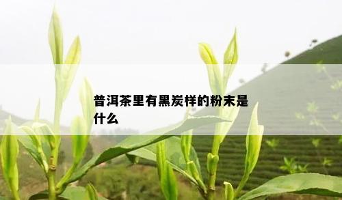 普洱茶里有黑炭样的粉末是什么