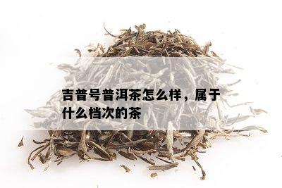 吉普号普洱茶怎么样，属于什么档次的茶