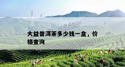 大益普洱茶多少钱一盒，价格查询